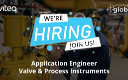 Application Engineer for Valve & Process Instruments