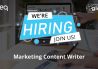 Content Writer