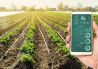 IoT Soil Condition Sensors – Agriculture’s Future